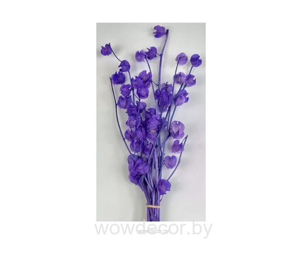 Сухоцвет "Физалис", 90 гр/упак., лавандовый