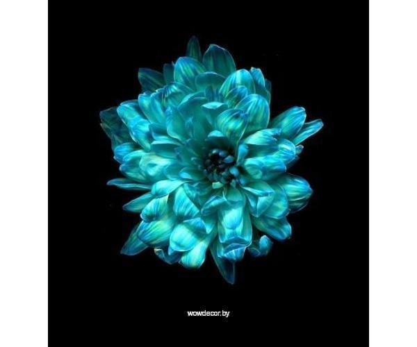 Краска для окрашивания живых цветов, цвет аква, #7, 0,300 л._